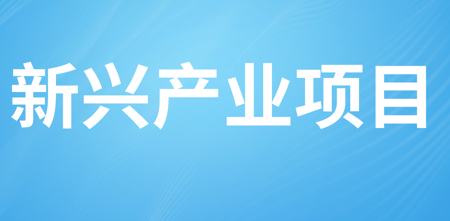 新興產(chǎn)業(yè) 新興產(chǎn)業(yè)
